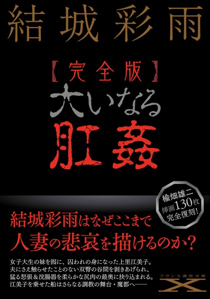 【完全版】大いなる肛姦[美少女ノベル・官能小説]