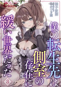 僕の転生先は側室の存在に緩い世界だった[美少女ノベル・官能小説]