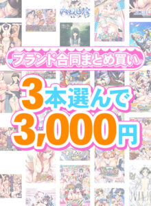 【まとめ買い】1，500作品以上から3本選んで3，000円！春のブランド合同まとめ買い[アダルトゲーム]
