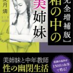 【完全増補版】箱の中の美姉妹[美少女ノベル・官能小説]