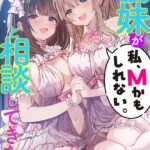 義妹が「私、Mかもしれない。」と相談してきた件[美少女ノベル・官能小説]