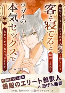 狼獣人のエリート夫から逃げて遊郭で働いてたら客と寝てると勘違いされてツガイの本気セックスでわからせられちゃいました[美少女ノベル・官能小説]
