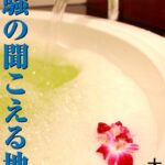 潮騒の聞こえる地で[美少女ノベル・官能小説]
