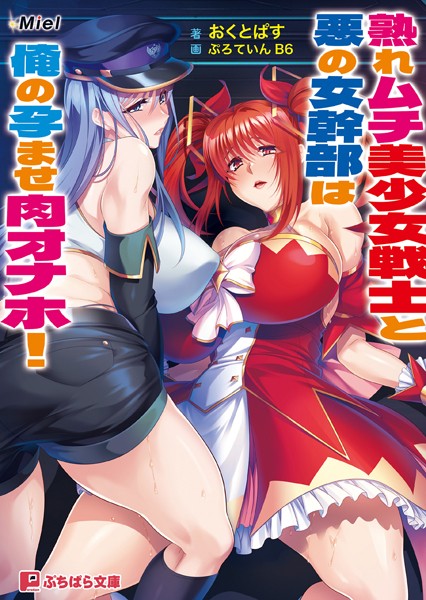 熟れムチ美少女戦士と悪の女幹部は俺の孕ませ肉オナホ！[美少女ノベル・官能小説]