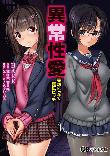 異常性愛 -妄想ビッチと真正ビッチ-[美少女ノベル・官能小説]