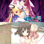 町ぐるみの罠＆汚された夏セット[アダルトゲーム]