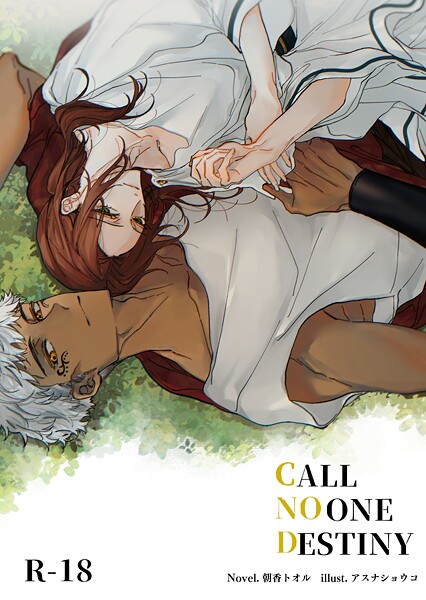 CALL NO ONE DESTINY[美少女ノベル・官能小説]