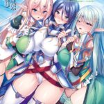 無双の孕ませオナホ騎士団 〜強い牝を淫紋術で屈服させてエロ酷いことやりたい放題の絶対忠誠ハーレムを作る！〜[美少女ノベル・官能小説]