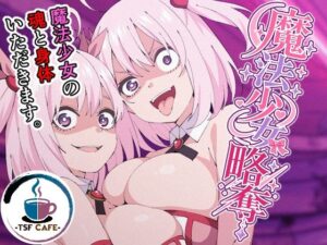 魔法少女略奪